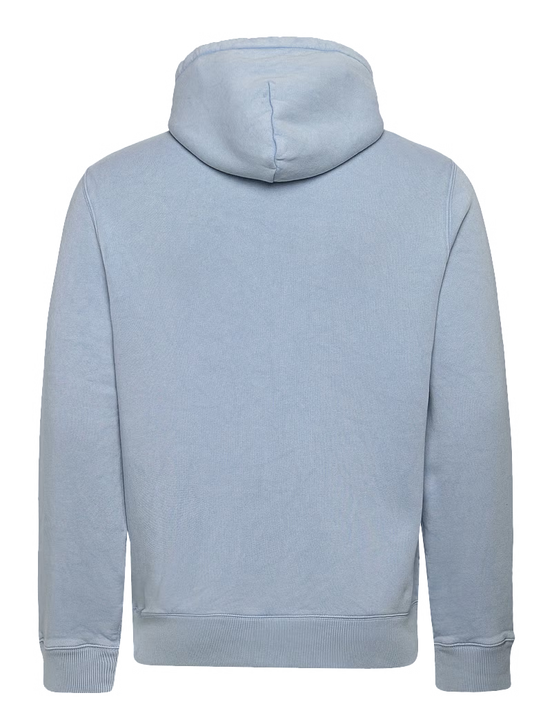 Polo Bear Garment-Dyed Fleece Hoodie